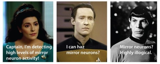 mirrorneurons1