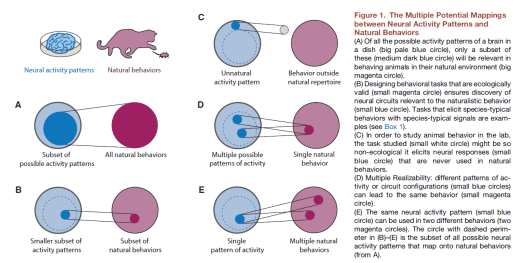 neurobehav_krakauer_etal_poeppel2017